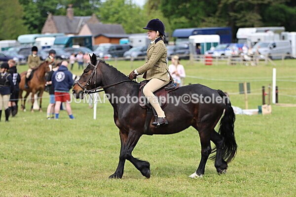 IMG_2677 - Working Hunter