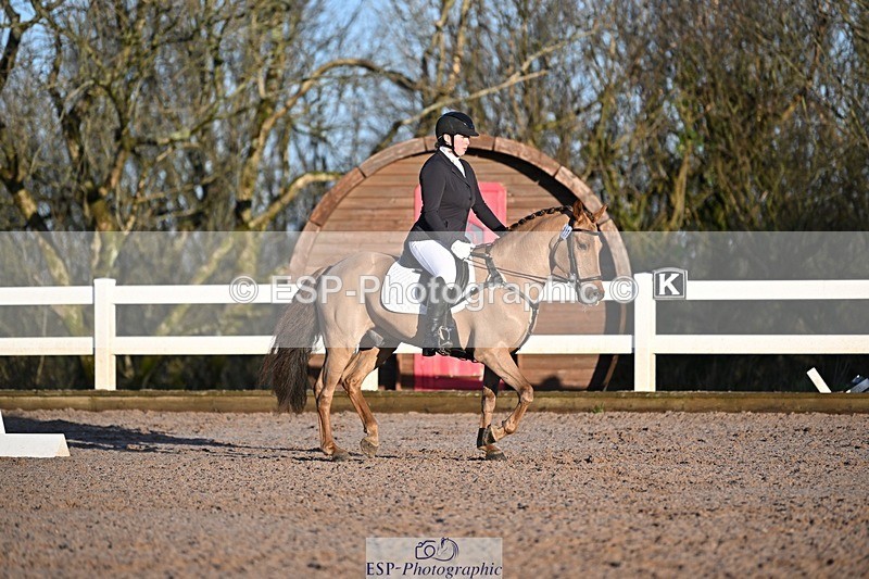 250125-090144-00007 - Dressage - CT Class 1 & 2 Intro 1