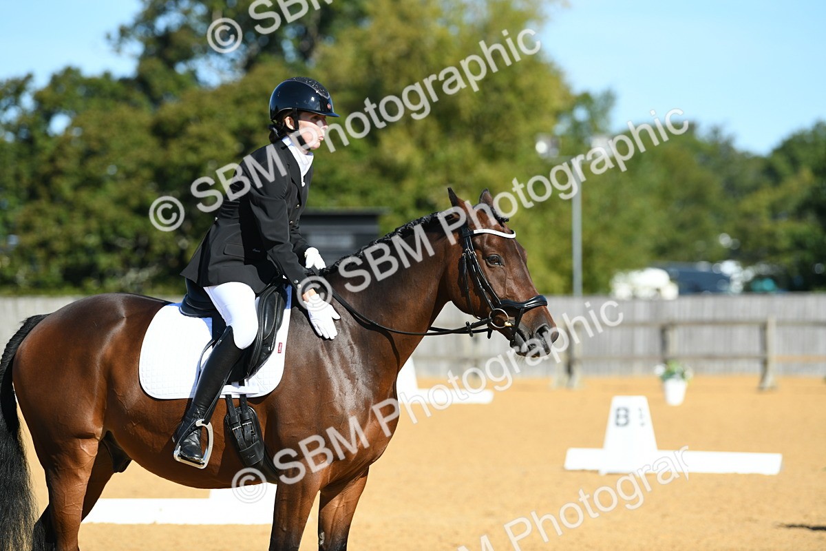 SBM_18006 - D4 - Small Tour Championship - Intro B