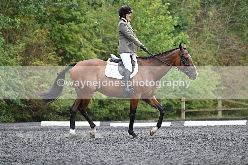 WJ7_6455 - Time 11:38 to 12:03