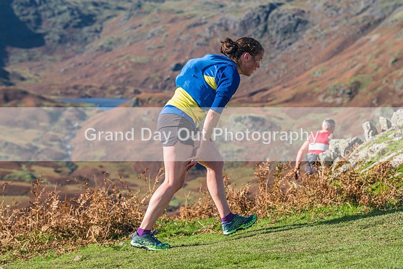 Lion  Lamb-133 - The Lion The Lamb and The Crags Fell Race Sunday 15th October 2023