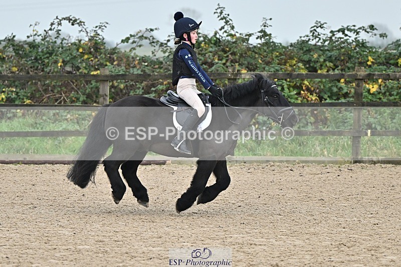 241110-101709-00242 - 40cm Showjumping