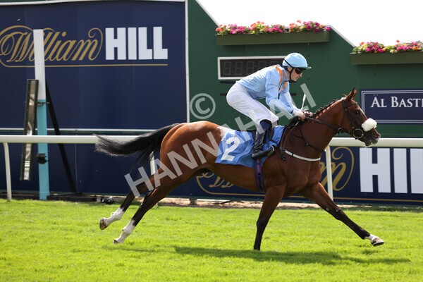 yr08072022r3-19 - Race 3 3.15pm William Hill Play Responsibly Irish EBF Novice Fillies Stakes