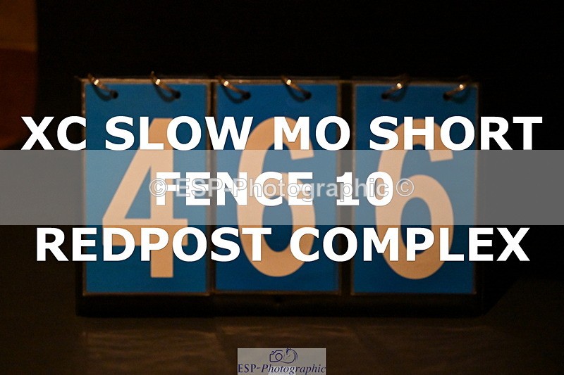 ESP_466 - F-466-Amber.Golley