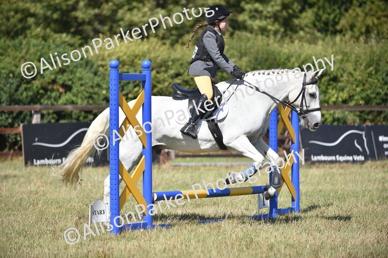20260906-1680 - Class 9 - Absolute Novice Jumping 45cm