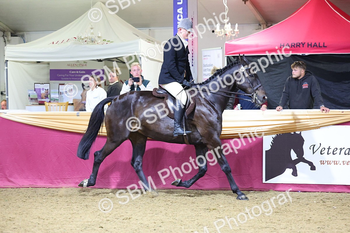 0B8A4467 - Class O Ridden Show Horse Champ