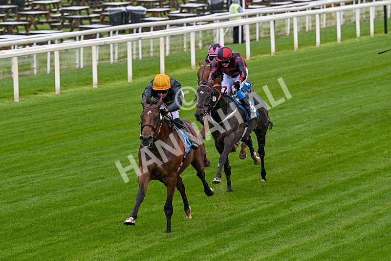 130526-Race 1-Cut A Dash-0048 - Race 1 1.45pm British Stallion Studs EBF Novice Stakes