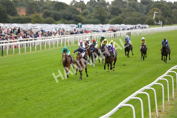 210824-Race 4-City Of Troy-7286 - Race 4 3.35pm Juddmonte International Stakes
