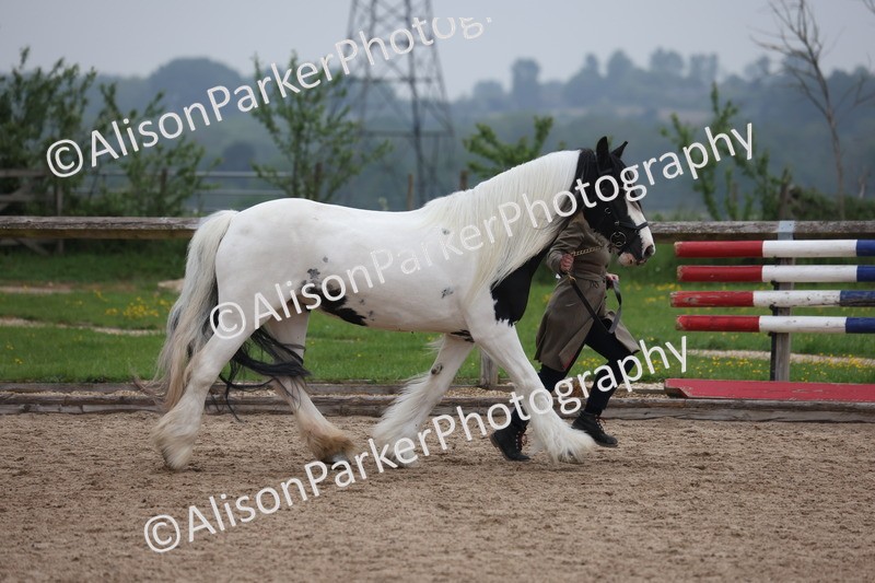 20260504-1372 - Class 8 - Cob and Hunter