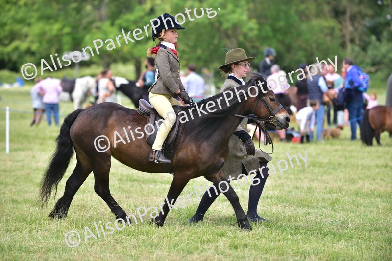 20260614-1270 - Class 11a - Lead Rein Pony (Unplaited)
