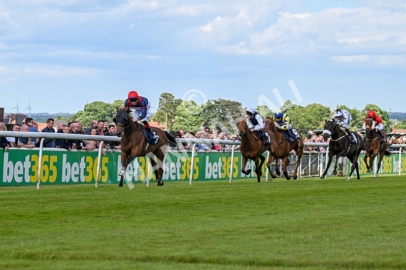 080624-Race 6-Walter Hartright-1699