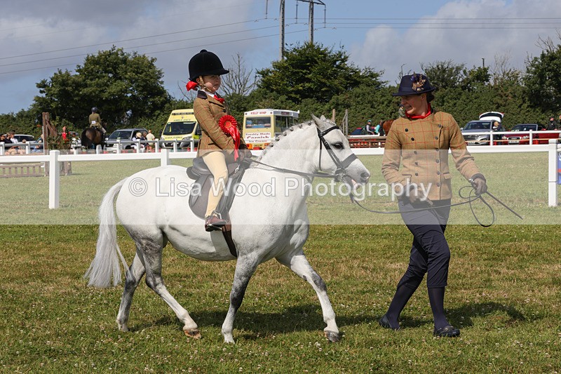 1X9A3697 - Class 29: Lead Rein SP/SHP