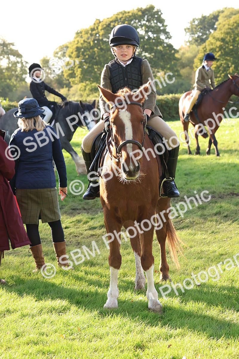 SBM_52653 - S13 - Pony Club Pony