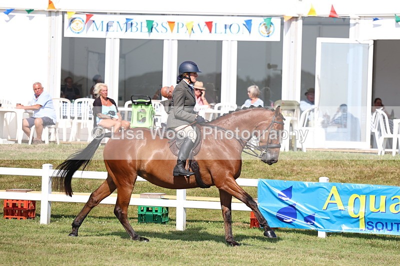 3E7A6019 - Class 3: Rising Star S/L Hunter