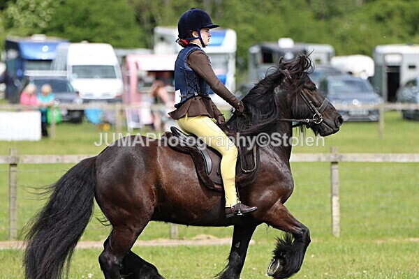 IMG_3254 - Working Hunter