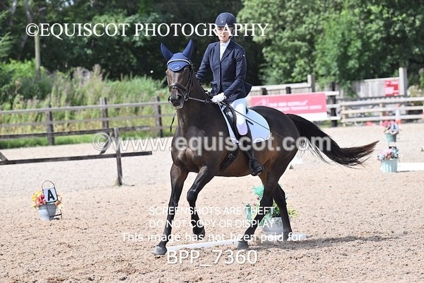 BPP_7360 - NOVICE TEST 2