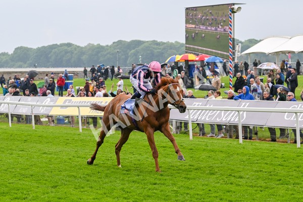 150524-Race 1-Crystal Delight-3584 - Race 1 2.15pm Sky Bet Race To The Ebor Jorvik Handicap