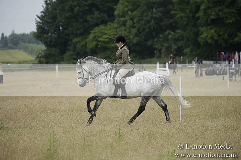 B230619-0941 - Bourne Valley Riding Club Summer Show 23/06/19