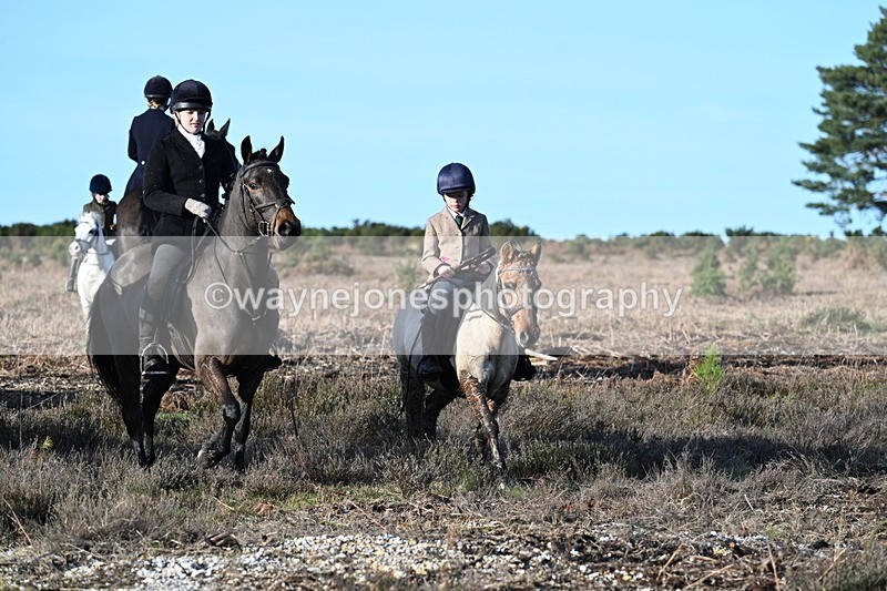 WJ7_7374 - Line 3 (no line 4 or 5)