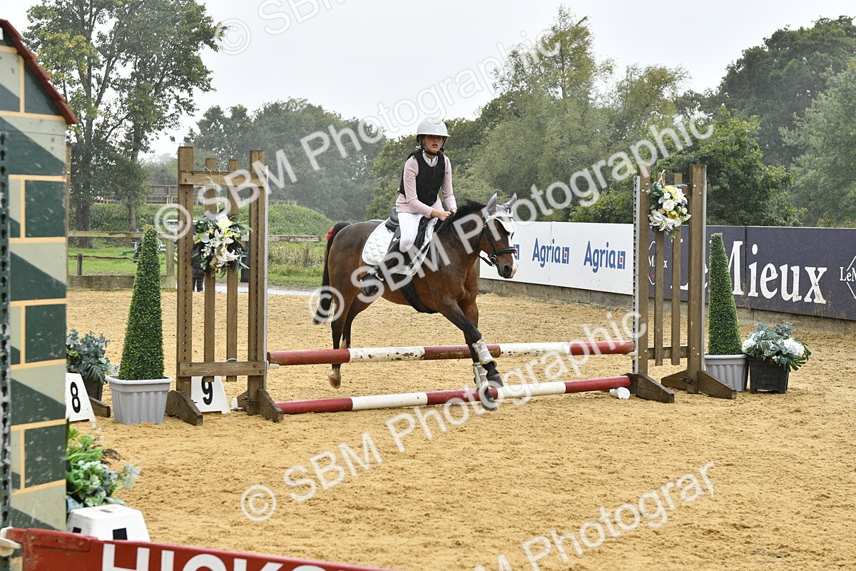 SBM_71001 - J3 - Mini Tour Junior Pony 40cm championship