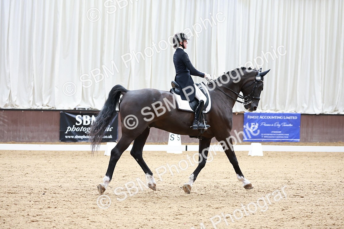 SBM_018125 - Class 15 - FEI Junior