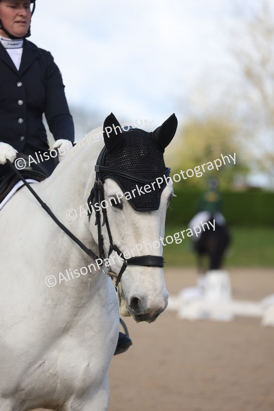 20260405-0056 - Class 1 - Prelim 5