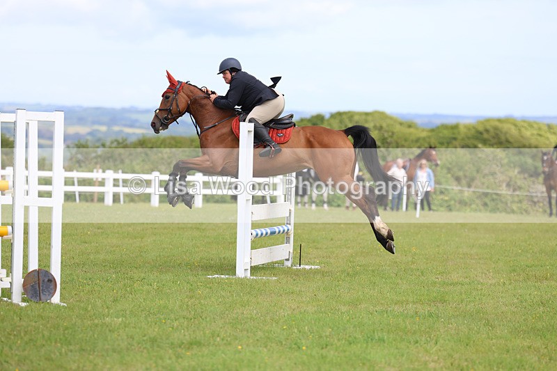 3E7A7495 - Class 13: Senior British Novice/90cm open