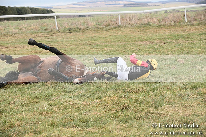 PtP 230119 70 - Royal Artillery Point-to-Point  - Larkhill  - 26/01/19