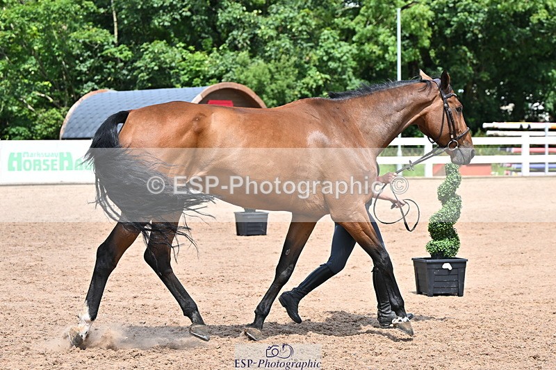 240718A-105320-01858 - Trot Up 1pm to 2pm