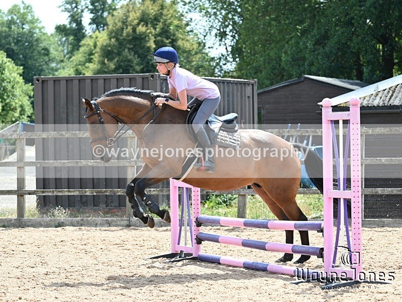 WJ7_6687 - Show Jumping at BCA