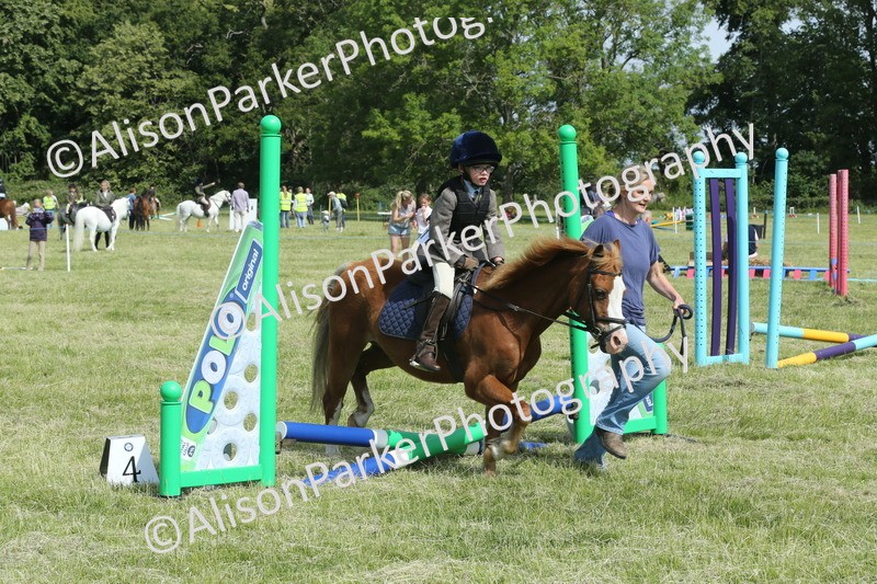 20260614-0278 - Class 1 - 30cm Lead Rein