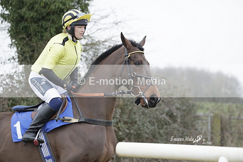 PtP 040323 649 - Duke of Beauforts Hunt Point-to-Point Didmarton 04/03/23