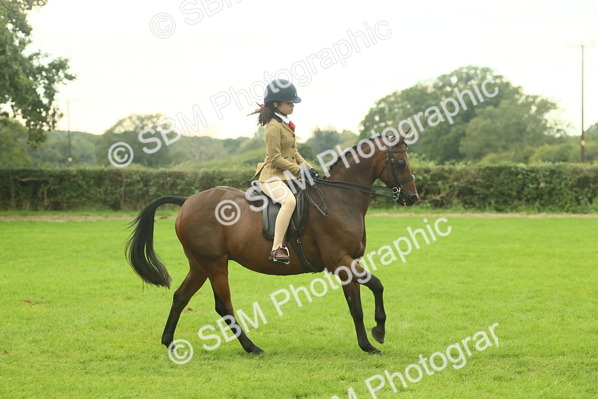 SBM_73948 - S 61 - Show Pony & Show Hunter Pony Ridden