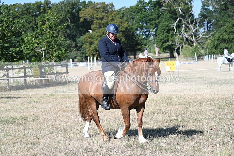 WJ7_3500 - Class 9 Mountain & Moorland Ridden