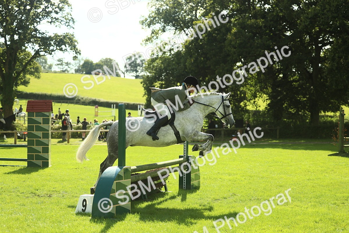 SBM_48080 - S32 - Novice & Newcomers Working Hunter