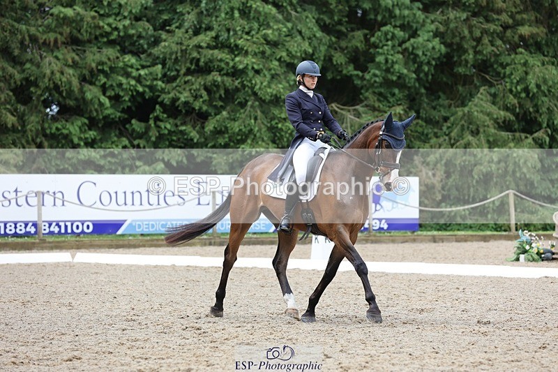 240523-104132-03369 - 214-DSH_GOLDEN_EYE-Lucinda_Mesquita