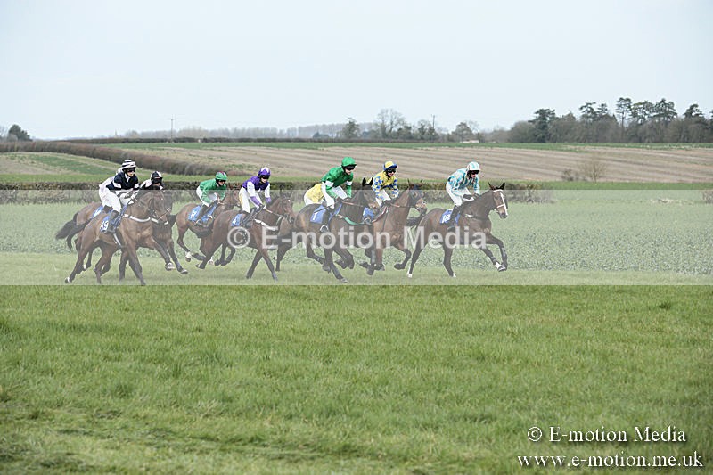 PtP 230319 148 - VWH Hunt Siddington Point-to-Point Racing 23/03/19