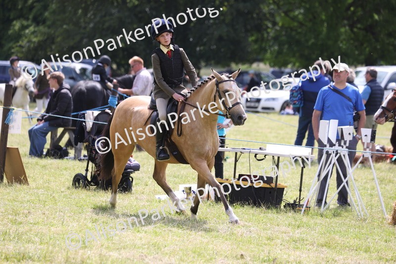 20260614-1799 - Class 21 - Novice Working Hunter Pony