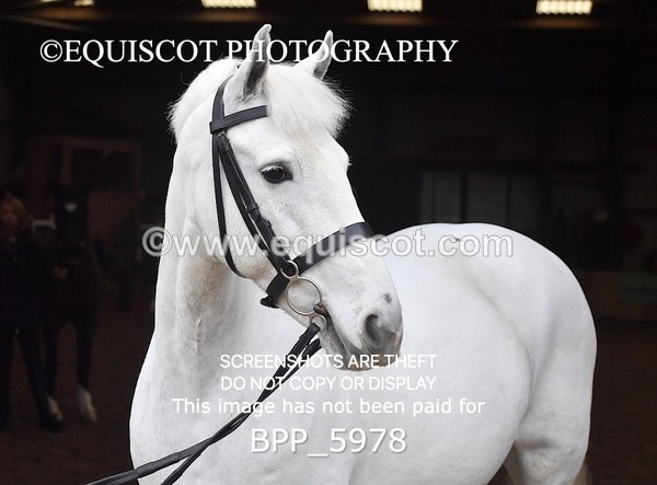 BPP_5978 - Erin Hancock ×2