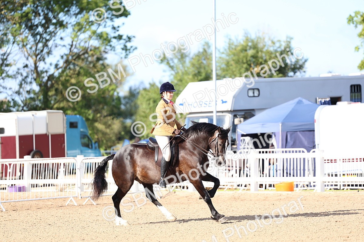 SBM_08915 - Class 302 - Ridden M&M - Large Breeds