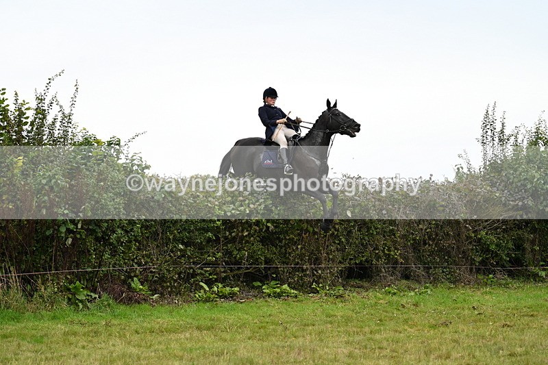 WJ7_4221 - Camera 1 Line 2