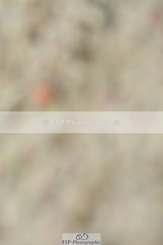 230630A-104723-00608 - Cls 9+12 Music Elementary + Medium