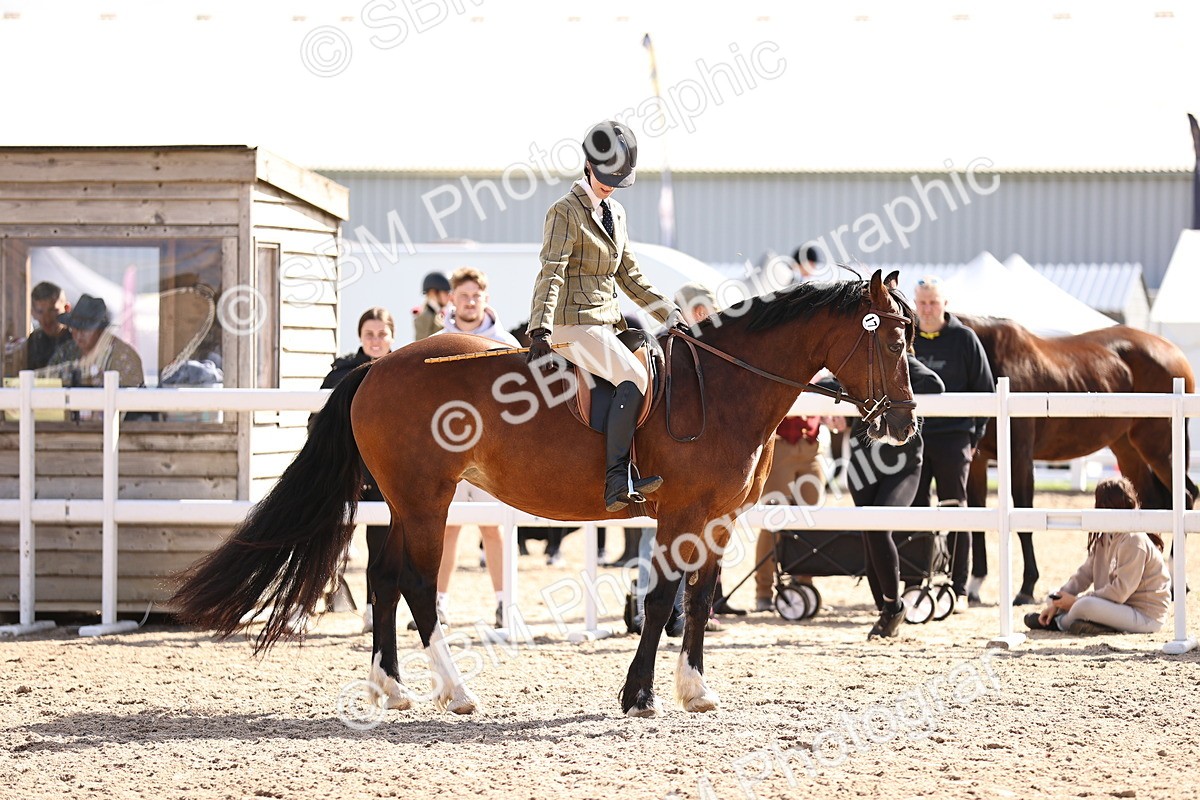 SBM_11631 - Class 408 - Grassroots Ridden - Walk & Trot