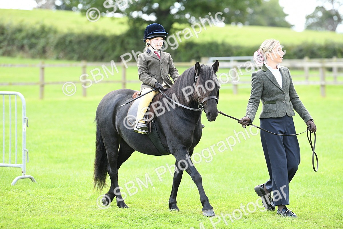 SBM_42405 - S20 - Lead Rein Mountain & Moorland Pony