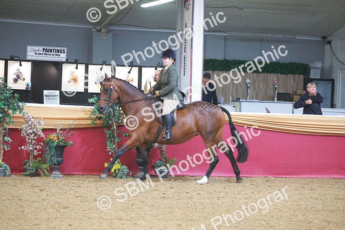 SBM_10570 - Class 103 - HOYS Veteran Qualifier - Ridden Pre Vet