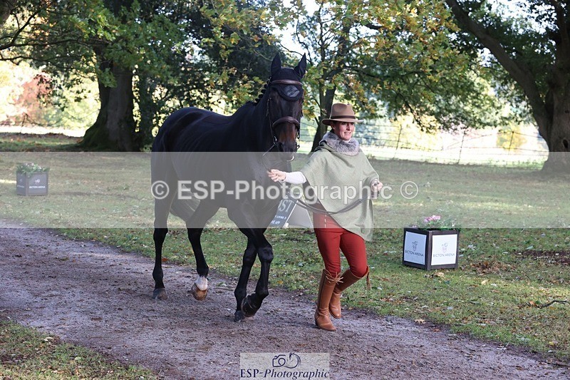 261025A-102113-25235 - 3DE Unknown riders - Trot Up