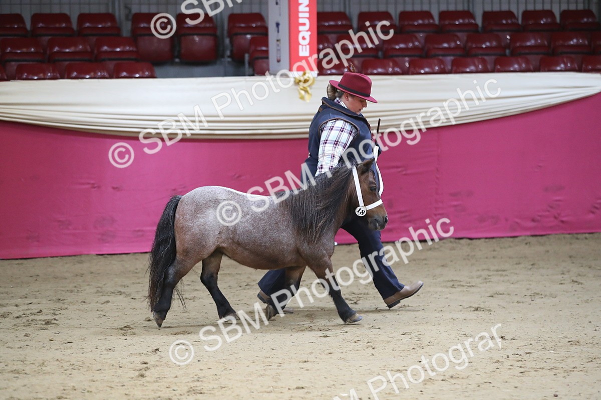 SBM_01334 - Class 3a Area IH Pre Vet