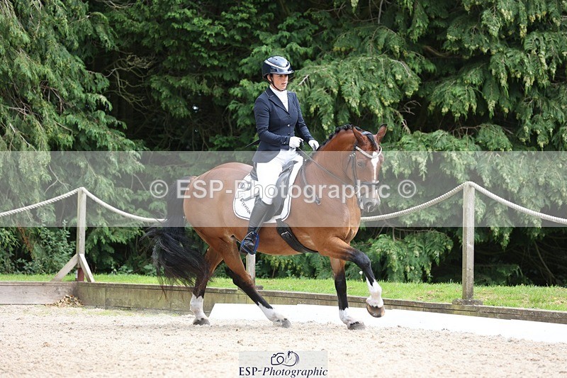 230812-151226-05078 - Cls 5 Novice Bronze 15.00 to End