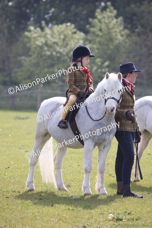 20260426-0344 - Class 30 - Tiny Tots Lead Rein