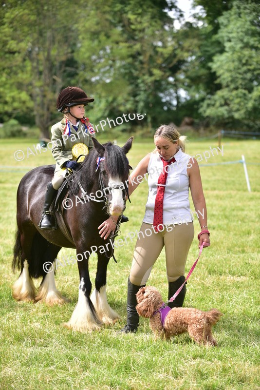 20260614-4578 - Class 19 - Cutest Pony, Rider and Dog Combination